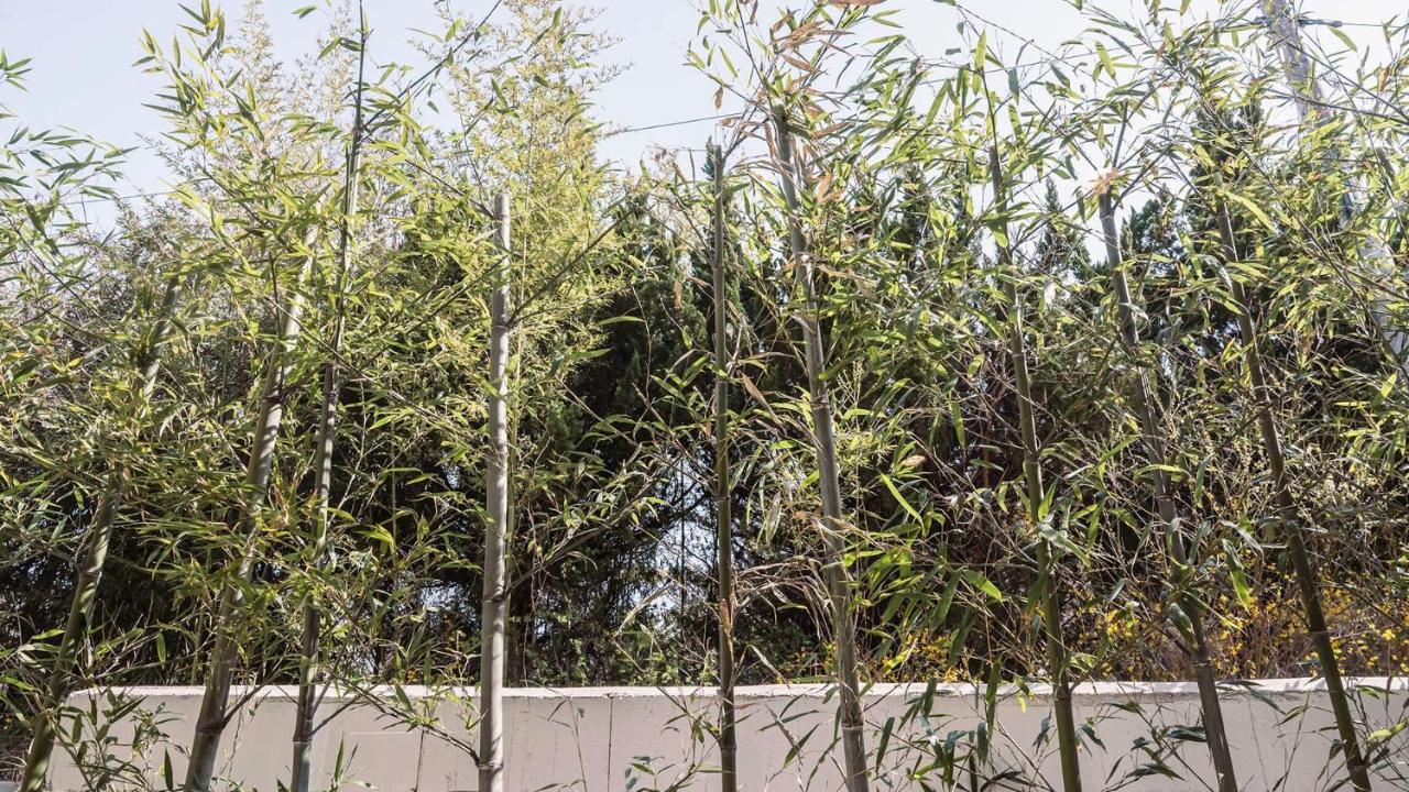 Albescent Poolvilla 庆州 外观 照片
